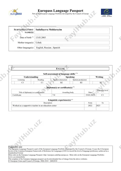 europass language passport — DOC