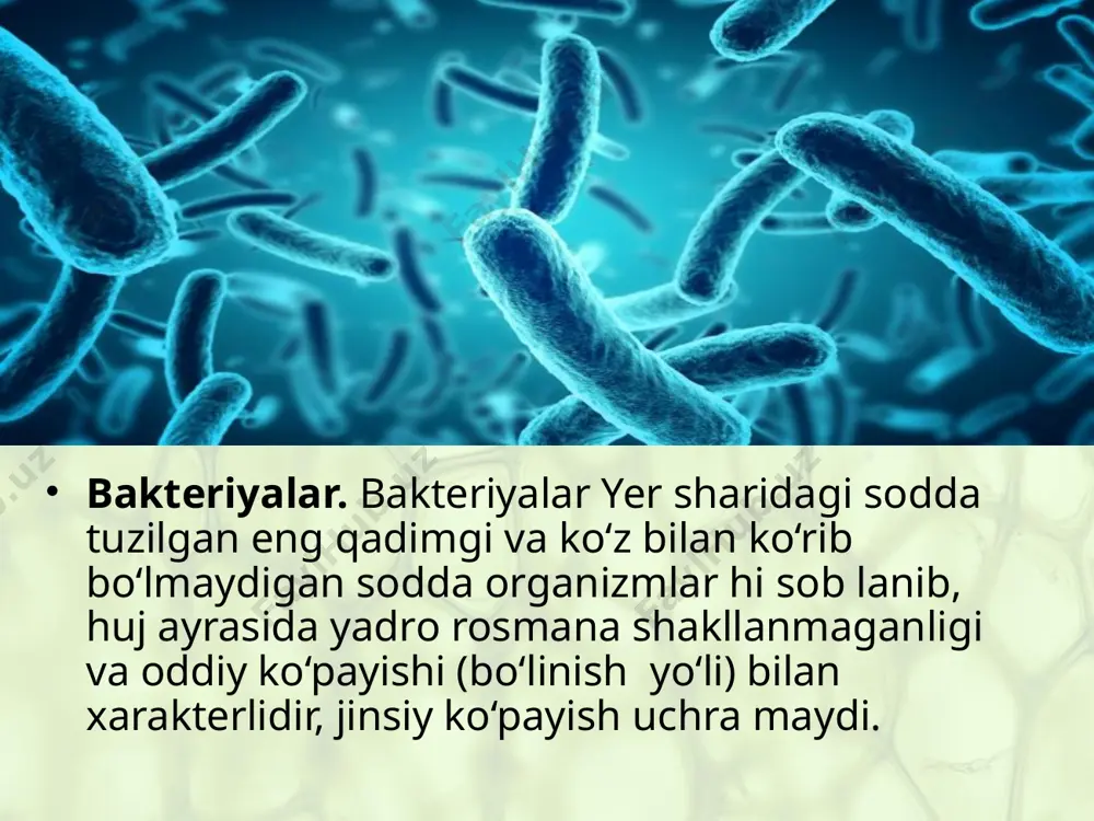 hayotning hujayraviy shakllari. 9 - sinf - Page 4