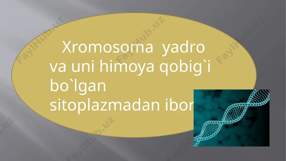 xromosoma kasalliklari - Page 4