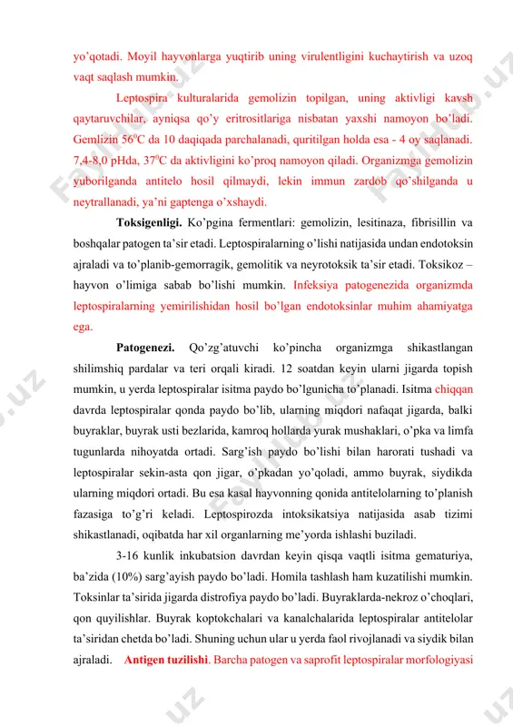 da intoksikatsiya natijasida asab tizimi shikastlanadi, oqibatda har xil organlarning me’yorda ishlashi buziladi. 3-16 kunlik inkubatsion davrdan keyin qisqa vaqtli isitma gematuriya, ba’zida (10%) sarg’ayish paydo bo’ladi. homila tashlash ham kuzatilishi mumkin. toksinlar ta’sirida jigarda distrofiya paydo bo’ladi. buyraklarda-nekroz o’choqlari, qon quyilishlar. buyrak koptokchalari va kanalchalarida leptospiralar antitelolar ta’siridan chetda bo’ladi. shuning uchun ular u yerda faol rivojlanadi va siydik bilan ajraladi. antigen tuzilishi. barcha patogen va saprofit leptospiralar morfologiyasi bir xil bo’lsa-da , antigen tuzilishi bilan o’zaro farq qiladi. ultrotovush bilan parchalangan leptospira kulturasidan tayyorlangan preparatlar immunokimyoviy analiz qilinganda ularda tipiga va avlodiga xos maxsus antigenlari borligi isbotlangan. ultratovush antigenining antigenli funksiyasi uning oqsili fraksiyasiga bog’liq. shuningdek har xil serotipli leptospiralar hujayrasida presipitogenlar borligi aniqlangan. hozirgi vaqtgacha amaliyotda agglyutinogenlarga ko’proq ahamiyat berilmoqda. leptospiroz qo’zg’atuvchilari aynan agglyutinasiya reaksiyasi bilan farqlanadi. bu reaksiya serologik diagnostika usullarining, shuningdek leptospiralarni klassifikasiya lashning asosi hisoblanadi. leptospiralarning bitta umumiy somatik antigeni bo’lib, ularning turga oidligini …