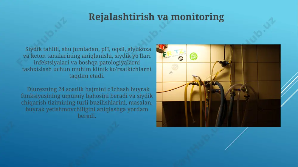 ar muvozanatining buzilish xavfini tushuntirish muhim. siydik yoʻllari infektsiyalari siydik yo'llari infektsiyalari (syi) ayollarda erkaklarga qaraganda 8 barobar ko'p uchraydi, chunki ularning siydik yo'li qisqaroq va bakteriyalar uchun osonroq kirish mumkin. davolashsiz qoldirilgan syi buyraklarga tarqalib, pyelonefrit deb ataladigan jiddiy holatga olib kelishi mumkin, bu esa buyrak yetishmovchiligiga olib kelishi mumkin. siydik chiqarish jarayoni buyrak naychalarida reabsorbsiya jarayoni sodir bo'ladi, bu yerda suvning 99%, glyukoza, aminokislotalar va boshqa foydali moddalarning 90% dan ortig'i qayta qonga so'riladi. siydik hosil bo'lishining birinchi bosqichi glomerulyar filtratsiya bo'lib, unda qonda 125 ml/minut tezlikda qon filtrlanadi va 180 litrga yaqin suyuqlik buyrak kapillyarlaridan buyrak kapsulalariga o'tadi. profilaktika choralari kuniga kamida 2 litr suv iste'mol qilish, siydikni suyultirish va bakteriyalarni yuqori nafas yo'llaridan chiqarib tashlash orqali siydik yo'llari infektsiyalarining oldini olishda muhim rol o'ynaydi. to'g'ri gigiena qoidalari, jumladan, kundalik tualetga borishdan keyin oldingi va orqa tomondan toza suv bilan yuvinish, siydik yo'llari infektsiyalari xavfini 30% gacha …