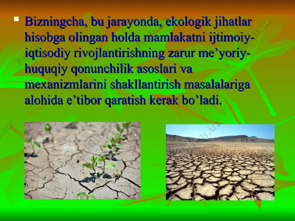 cho’llarning o’zbekistondagi o`simliklar olamida ta`siri - Page 4