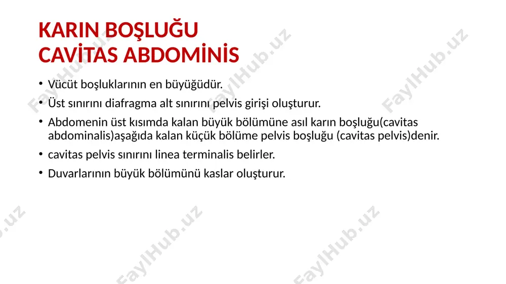 regatiler daha büyük ve daha çok sayıda kalın bağırsaklar sindirim kanalının ileumdan sonra başlayan ve anüsde sona eren bölümüdür.yaklaşık 1,5-2 m uzunluğundadır. en geniş yeri başlangıç kısmı olan caecumdur ve genişliği giderek azalır. kalın bağırsaklar 4 bölümden oluşur: -caecum(kör bağırsak) -colon -rectum -canalis analis caecum(kör bağırsak) kalın bağırsağın başlangıç bölümüdür. sağ fossa iliacada bulunur. i̇leumun son kısmı ile caecum arasındaki deliğe ostium ilealis denir. caecum arka –iç duvarı ,ostium ilealis’in 2 cm aşağısında appendix vermiformis denilen çıkıntı bulunur. colon ceacumdan rectuma kadar uzanır. -colon ascendens (çıkan colon) -colon transversum (yatay colon) -colon descendens (inen colon) -colon sigmoideum (sigmoid colon) mezenter rectum kalın barsakların son kısmını oluşturmaktadır. rectumun alt kısmına ampulla recti denir. canalis analis sindirim kanalının son kısmıdır. rectumdan başlar,anüsle sonlanır. canalis analis kaslarla sarılmıştır. m.sphincter ani externus m.sphincter ani internus canalis analis kb’ların son 2,5-4cmlik kısmını oluşturur. komşuluıkları: e: bulbus penis, diaphragma urogenitale, k: vaginanın arka yüzü valvula analislerin …