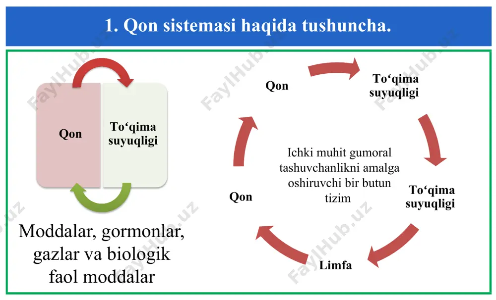 y xlor gidrokarbonat fosfat sulfat 0,3 0,02 0,012 0,0002 0,35 0,16 0,03 0,02 2. qon plazmasining tarkibi. qon plazmasida oqsildan boshqa azotli birikmalar: oqsillarning gidrolizlanishi natijasida hosil boʻlgan ovqat hazm qilish yoʻlidan soʻriladigan va protoplazma oqsillarining sintezlanishi uchun hujayralar foydalanadigan moddalar (aminokislotalar, polipeptidlar) va oqsillarning parchalanishi natijasida hosil boʻlib, organizmdan chiqarib tashlanadigan moddalar (mochevina, siydik kislotasi, kreatinin, ammiak) bor. plazmadagi qoldiq azot deb ataluvchi nooqsil azotning umumiy miqdori 30-40 mg% ni tashkil qiladi. uning yarmi mochevinaga toʻgʻri keladi. buyraklar etarli ishlamaganda qon plazmasida qoldiq azot juda koʻpayib ketadi. qon plazmasida azotsiz organik moddalar: organizm hujayralari uchun asosiy energiya manbai glyukoza (80-120 mg % yoki 4,4-6,7 mmol/l ) va organizm hujayralarining faoliyati natijasida hosil boʻlgan turli organik kislotalar, sut kislotasi ham bor. 2. qon plazmasining tarkibi. qon plazmasida mineral moddalar qariyib 0,9% ni tashkil qiladi. ularning tarkibi asosan na+, k+ca2+ kationlari va anionlardan (cl-, hco-3, hpo-4, h2po-4) iborat. qon bilan bir …