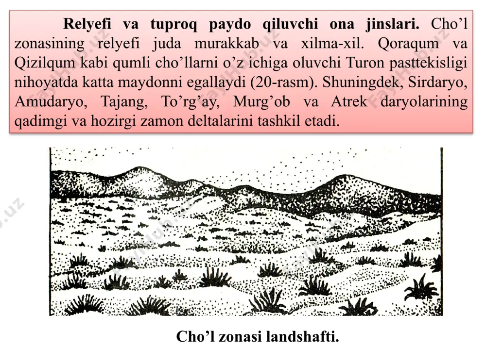 qlarning singdirish sig’imi uncha katta emas va 100g tuproqda 5-8 mg ekv.ni tashkil etadi. singdirilgan asoslar tarkibida kalsiy va magniy ko’p. tipik sur-qo’ng’ir tusli tuproqlarning singdiruvchi kompleksida magniy nisbatan ko’proq (20-34 foiz). sho’rtobli sur-qo’ng’ir tusli tuproqlarda natriy miqdori 10-20 foiz va undan ham ortadi. bu tuproqlarning 30-40sm chuqurligida deyarli doim sho’rlanish alomatlari bo’ladi. tuzlardan kalsiy sulfat asosiy rol o’ynaydi. sur-qo’ng’ir tusli tuproqlar uchun xloridli-sulfatli sho’rlanish xarakterli. suv-fizik xossalari. sur-qo’ng’ir tusli tuproqlarda struktura yaxshi ifodalanmagan. tuproqning qatqaloqli qatlami va sho’rtobsimon gorizonti ancha zich bo’lib, suvni kam o’tkazadi. tuproqning yuqori gorizontlarida zichlik ancha yuqori (1,4-1,5g/sm3) bo’lganidan umumiy va aerasiya kovakligi ham past. sur-qo’ng’ir tusli cho’l tuproqlardan qishloq xo’jaligida foydalanish va unumdorligini oshirish tadbirlari. sur-qo’ng’ir tusli tuproqlar o’rta osiyoda keng tarqalgan bo’lib, 40,5 mln gektarga yaqin. ulardan qishloq xo’jaligida asosan yaylovlar sifatida foydalaniladi. ammo sug’orib dehqonchilik qilinadigan maydonlar juda kam. sur-qo’ng’ir tusli tuproqlarning uncha katta bo’lmagan maydonlari tojikistonda (xo’ja-baqirgan, samgar) va o’zbekiston (malikcho’l, …