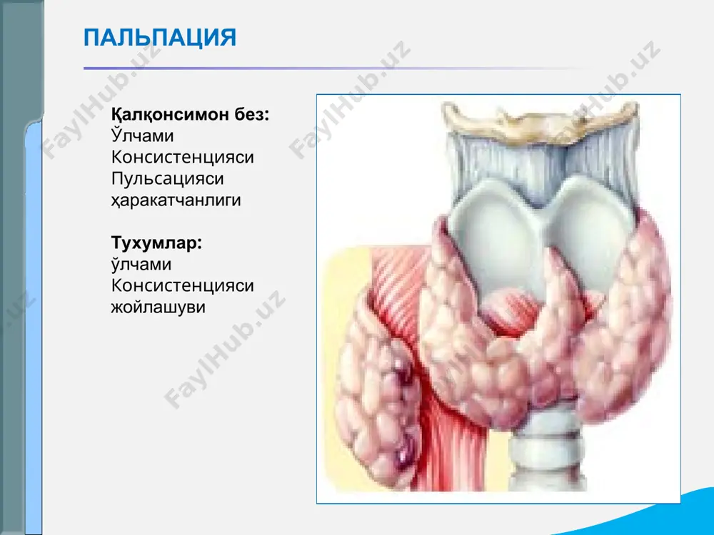 . катталашганда зич. лаборатор инструментал текширувлар: асосий алмашинувнинг сусайиши, қалқонсимон без гормонларининг қонда камайиб кетиши. қалқонсимон безнинг радиоактив йодни қабул қилишининг камайиши гипотиреоидизм синдроми эътиборингиз учун ташаккур!