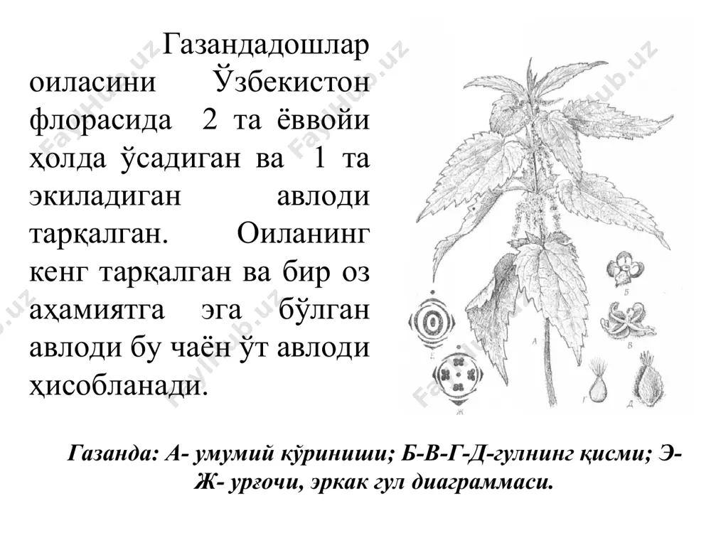 саноатида ишлатиладиган безарар буёқ тайёрланади. эътиборингиз учун раҳмат..!