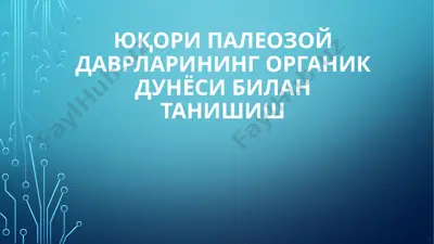юқори палеозой даврлари иловаси — PPTX
