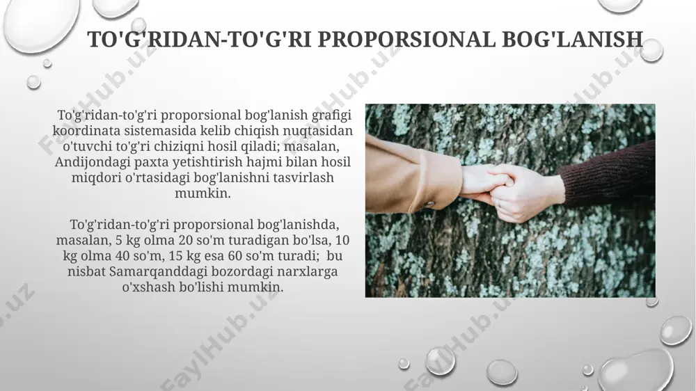 miqdorlar orasidagi bog‘lanishi turlari va ularga oid misollar - Page 4