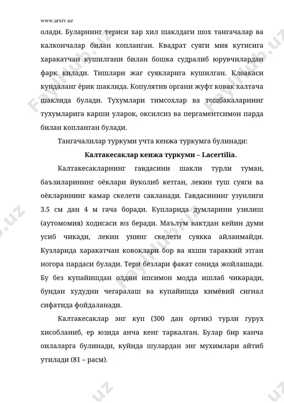 ар америкада ва жанубий-шаркий осиёда таркалган. захар тишлилар (helodermatidae) калтакесаклар ичида бирдан бир захарли гурухдир. буларни 2 та тури бор. бири захартиш (heloderma suspectum) булиб, мексикада яшаса, иккинчиси борнеа оролида яшайди. буларнинг захари одам учун ута хавфли. эчкемарлар (varanidae) оиласининг вакиллари жуда катта булади. булар африка, жанубий осиё ва австралияда таркалган комодо эчкемари (varanus komodoensis) калтакесаклар ичида энг каттаси булиб, буйи 4 м га, массаси 150 кг га етади. кулранг эчкемар (varanus griseus) шимолий осиё ва њрта осиёда таркалган булиб, буйи 1.5 м, массаси 2.5 кг келади. амфисбеналар (amphisbaenidae) ерни ковлаб, ер тагида хаёт кечиради, гавдаси чувалчангсимон шаклда, териси тангачалар билан эмас, умумий шох парда билан копланган булади. оёклари йук, лекин баъзи холда сакланади. кузлари тери остига яширинган. африка, жанубий америкада яшайди. бу оиланининг типик вакили америка хироти (chirotes canalicu latus) хисобланади. хакикий калтакесаклар (lacertidae) ларни 170 та тури бор, европа, осиё ва африкада таркалган, евроосиёда кенг таркалган турлари яшил …