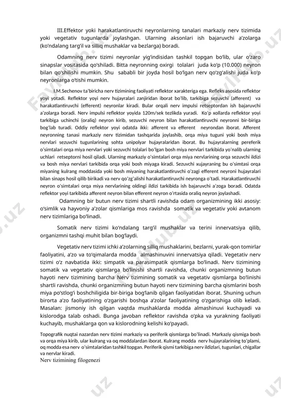 an boshqa neyronga yoki ish bajaruvchi a’zoga o‘tkazib beradi. tuzilishi, vazifasi va aloqasiga qarab neyronlar sezuvchi yoki retseptor, oraliq yoki assotsiativ va harakatlantiruvchi yoki effektor neyronlarga bo‘linadi. i.sezuvchi neyronlarni dendritlarining uchlarida qabul qiluvchi apparat - retseptor joylashgan. retseptor ta’sirotni qabul qilib, uni nerv impulsiga aylantiradi. retseptorlar ma’lum bir ta’sirotni qabul qilishga moslashgan (mexanik, harorat, kimyoviy) bo‘lib, tuzilishi har xil bo‘ladi. retseptorlarning joylashishiga qarab quyidagi turlarga bo‘linadi: 1.ekstrotseptorlar tashqi muhit ta’sirini qabul qiladi. ular teri, shilliq pardalar va sezgi a’zolarida joylashgan. 2.introtseptorlar organizmning ichki muhitida bo‘ladigan kimyoviy o‘zgarishlar, shuningdek to‘qima va a’zolardagi bosim o‘zgarishlari ta’sirotlarini qabul qiladi. 3.propriotseptorlar mushak, pay, boylam, fassiya, bo‘g‘im xaltasidagi ta’sirotlarni qabul qiladi. ii.oraliq yoki assotsiativ neyron qo‘zg‘olishni sezuvchi neyrondan harakat neyroniga o‘tkazib beradi. bu neyronlar markaziy nerv tizimida joylashadi. iii.effektor yoki harakatlantiruvchi neyronlarning tanalari markaziy nerv tizimida yoki vegetativ tugunlarda joylashgan. ularning aksonlari ish bajaruvchi a’zolarga (ko’ndalang targ’il va silliq mushaklar va bezlarga) boradi. odamning nerv …