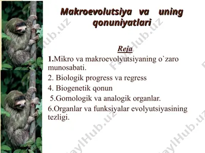 makroevolutsiya va uning qonuniyatlari — PPT