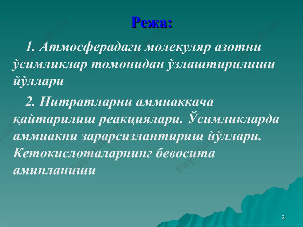 кислота қайтарилиш реакциялари учун зарур бўлган ҳамда фаоллашган молекуляр азотнинг аммиаккача қайтарилишида иштирок этадиган электронлар манбаи ҳамдир. * молекуляр азотнинг ўзлаштирилиши механизмини ўрганиш электрон ташувчи ферментлардан ферредоксиннинг кашф этилишига сабаб бўлган. азотнинг ўзлаштирилишида ферредоксин иштирок этиши муҳим бўлиб, у оксидланган пируват кислотадан электронларни қабул қилиб олади ва уларни фаоллашган азотга узатади, яъни бу жараёнда ферредоксин воситачи модда сифатида иштирок этади. * кейинги йилларда олиб борилган тадқиқотларда дуккакдош ўсимликлар таркибида гемоглобинга ўхшаш қизил пигмент борлиги аниқланган. легоглобин деб аталадиган бу модда ҳам гемоглобинга ўхшаб, кислородни осонлик билан бириктириб олади. легоглобин молекуляр азотнинг ўзлаштирилишида иштирок этса керак, деб тахмин қилинади. * кўпчилик ўсимликлар нитратларни яхши ўзлаштиради ва бу жараёнлар икки босқичдан иборат. дастлаб нитратредуктаза ферменти нитратларнинг нитритларга айланиш реакциясини катализлайди, сўнгра нитритлар нитритредуктаза ферменти иштирокида аммиаккача қайтарилади. нитритредуктаза ферменти кўпчилик юксак ўсимликлар, замбуруғлар ва микроорга-низмлар таркибида учрайди. бу фермент фад ва молибден тутувчи металлофлавопротеиддан иборат. нитритредуктаза ферменти ўсимликлар нитрат ҳолдаги азотни ўзлаштиришида …