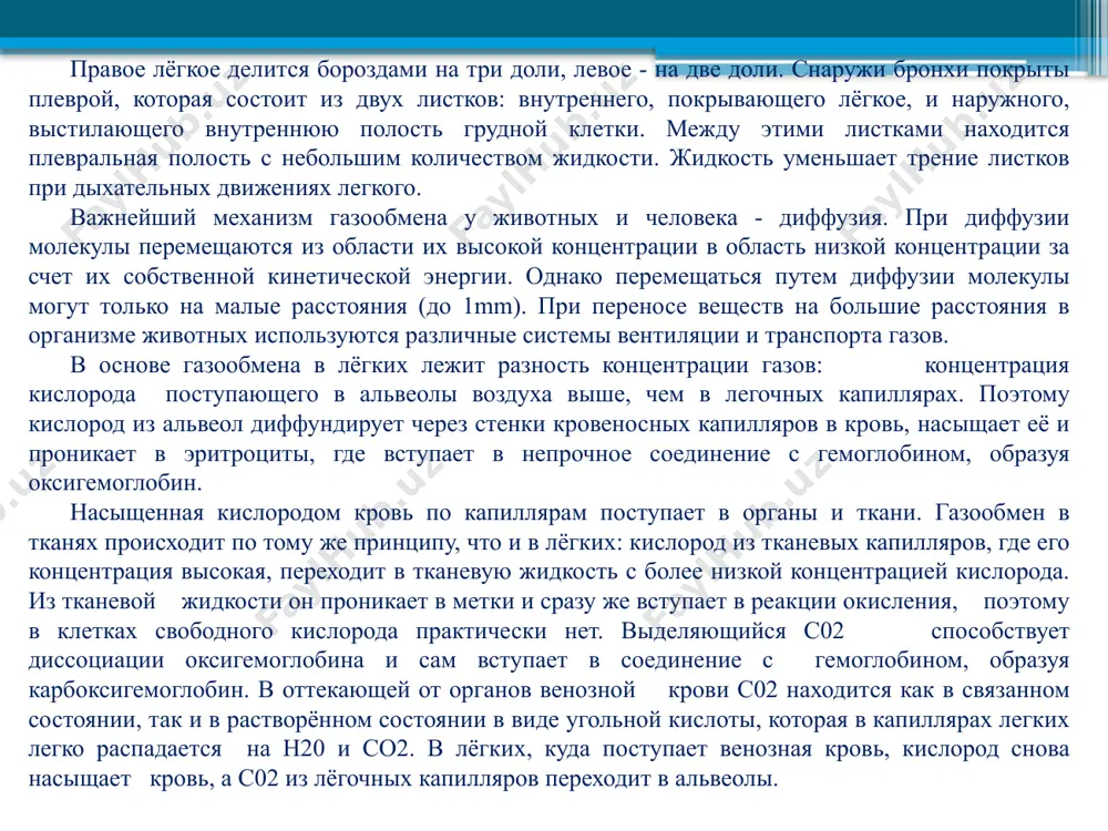 ом состоянии в виде угольной кислоты, которая в капиллярах легких легко распадается на н20 и со2. в лёгких, куда поступает венозная кровь, кислород снова насыщает кровь, а с02 из лёгочных капилляров переходит в альвеолы. насыщенная кислородом кровь по капиллярам поступает в органы и ткани. газообмен в тканях происходит по тому же принципу, что и в лёгких: кислород из тканевых капилляров, где его концентрация высокая, переходит в тканевую жидкость с более низкой концентрацией кислорода. из тканевой жидкости он проникает в метки и сразу же вступает в реакции окисления, поэтому в клетках свободного кислорода практически нет. выделяющийся с02 способствует диссоциации оксигемоглобина и сам вступает в соединение с гемоглобином, образуя карбоксигемоглобин. в оттекающей от органов венозной крови с02 находится как в связанном состоянии, так и в растворённом состоянии в виде угольной кислоты, которая в капиллярах легких легко распадается на н20 и со2. в лёгких, куда поступает венозная кровь, кислород снова насыщает кровь, а …