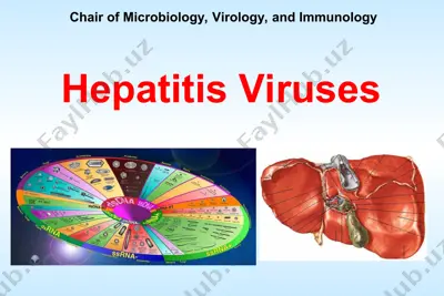 hepatitis viruses — PPT