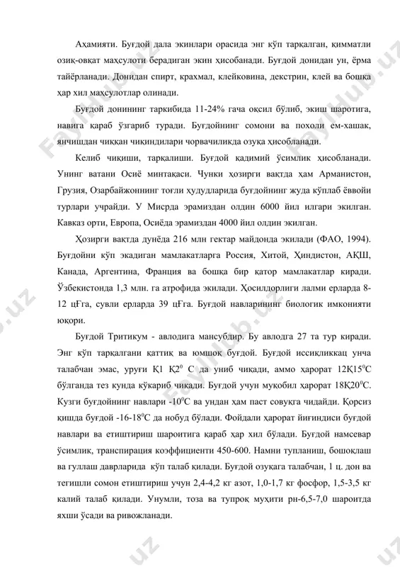 й талаб қилади. унумли, тоза ва тупроқ муҳити рн-6,5-7,0 шароитда яхши ўсади ва ривожланади. ўзбекистонда экиладиган навлари: ёнбош, маржон, унумли буғдой, бахт, интенсив, половчанка, безостая-1, спартанка, скифянка, юна, сурхак-5688, тезпишар ва бошқалар. етиштириш. буғдой шудгорга, қатор ораларига ишлов бериладиган экинлар, дон-дуккакли ва ем-хашак экинлардан бўшаган ерларга экилади. кузги буғдойни экиш муддатига 7-10 кун қолганда ер тайёр бўлиши лозим. ўтмишдош тури ва тупроқнинг механик таркибига қараб ер шудгорланади, дискланади, мола босилади ва борона қилинади. ўғитлаш ме‘ёри - ер ҳайдашдан олдин 12-20 тонна гўнг, 30-50 кг фосфор ва 20-30 кг калий солинади. кузги буғдой қишлаб чиққандан кейин 30-50 кг азот ва 30 кг фосфор солинади. тупланиш даврида яна 30 кг азот солиш тавсия этилади. сувли ерларда ўртача 4-5 млн.дона уруғ экилади. экиш чуқурлиги 3-6 см. экиш усули ёппасига қаторлаб, тор қаторлаб экилади. кузда сентябрдан бошлаб ноябргача экилади. баҳори буғдой февралнинг охири март ойларида экилади. кузда буғдой кузги ўсув даврида 1-2, баҳорги ўсув …
