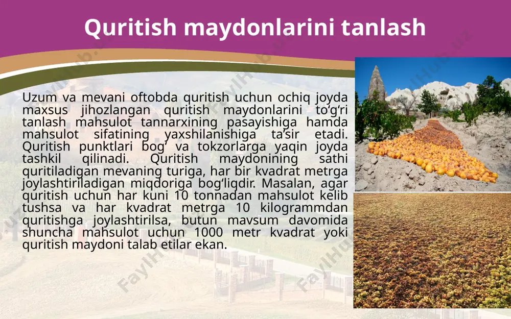 urilishi lozim. quritish maydonini quritishga tayyorlash. har bir kvadrat metrga tilimlab kesilgan olmadan 3–5 kg, butunligicha quritiladigan nokdan 14–16 kg, ikkiga yoki to‘rtga bo‘lingan nok 10–12, olxo‘ridan 14–16, olcha yoki gilosdan 8–10, ikkiga bo‘lingan o‘rik yoki shaftolidan 10–12, uzumdan 12–14 kg quritsa bo‘ladi. tilimlab kesilgan olma o‘rta hisobda 4–8, ikkiga ajratilgan shaftoli 7–12, ikkiga yoki to‘rtga bo‘lingan nok 8–20, ishqor eritmasi bilan ishlov berilgani 10–12 va dori-lanmagani 30 kun, olcha 7–13, dorilanmagan uzum 20–25, ishqor bilan ishlov berilgan uzum esa 5–8 kunda tayyor bo‘ladi. quritish maydonini quritishga tayyorlash. maydonlardagi so‘kchaklar sharqdan g‘arbga qaratib o‘rnatiladi. ho‘l meva so‘kchaklarga har ikki tomoniga qiya holda qo‘yiladi. har ikki so‘kchak orasidagi eni 0,8 metrli yo‘lakcha qoldiriladi, ishlar mexanizaöiyalashtirilganida bu oraliqning eni 1,5 metr bo‘ladi. maydonchada xom ashyoni qabul qilish, vaqtincha saqlash, navlarga ajratish, to‘g‘rash, padnislarga joylash va soyaki usulida quritish uchun bostirmalar quriladi. suv tindiriladi. bundan tashqari quritish manzilida mevalarni to‘g‘rash va navlarga ajra-tish …