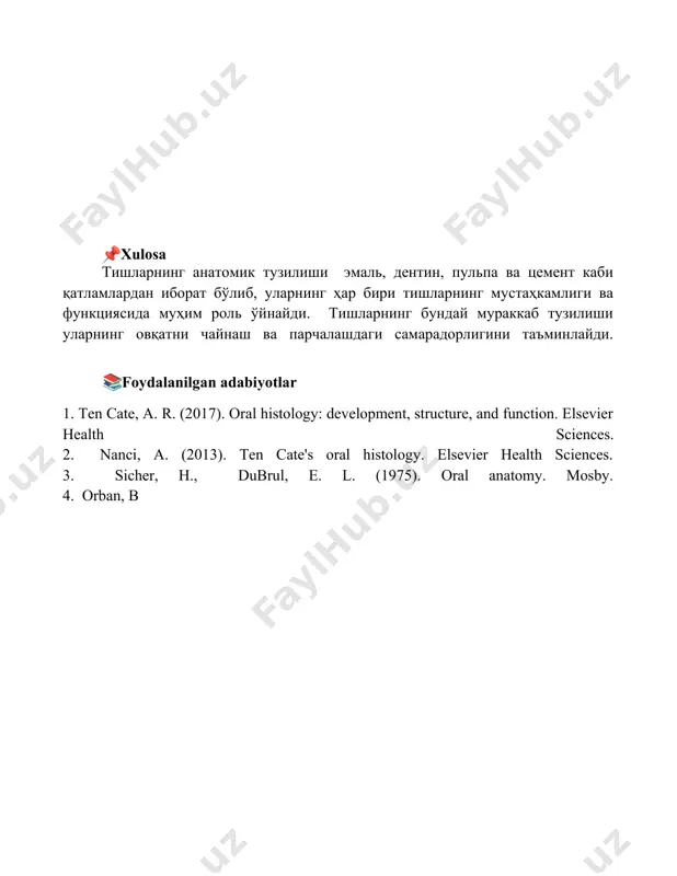 tishlarning anatomik tuzilishi - Page 5