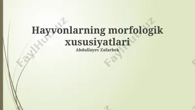 hayvonlarning morfologik xususiyatlari — PPTX