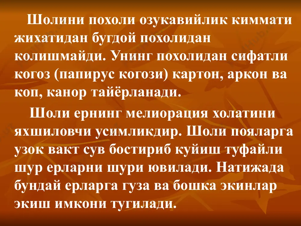 уг экилгандан кейин полларга дархол сув бостирилади ва 3-5 кунгача сув катлами 5-6 см калинликда саклаб турилади, сунгра сув тухтатилади. уруг униб чиккандан сунг сув бостирилиб охиригача шоли сувда усади. 7. шоли кучат усулида етиштирилганда уругни экканга нисбатан купгина афзалликларга эга: 1. шоли уруги кучатхонага экилиши муносабати билан кеч кузга колмасдан етиштириб олиш имконияти тугилади. 2.кучат усули хар бир ердан унумли фойдаланиб икки марта хосил олишга имкон беради. 3.шоли уруги 60-70% иктисод килинади. 4.шолининг усув давринннг 30-35 куни кучатхонада утиши муносабати билан сув сарфи 20-25% тежалади. 5.шоли хосилдорлиги эса уруг билан экишга нисбатан 15-30% юкори булади. шолини бу усули такрорий экин сифатида экишда кулланилади. бунда кучатхоналарга 20-30 майда уруг экилади. асосий майдонга 20-30 июнда кучат кучириб утказилади.бунда кучатхоналарга гектар хисобида 20-25 млн. дона уруг ёки 650-750 кг шоли уруги сепилади. агар шоли кулда экиладиган булса уруглик шолини намлаб олиб экилади. кучатхонада шоли нихолини олишда сув тизими ва бошка амалий ишлар …