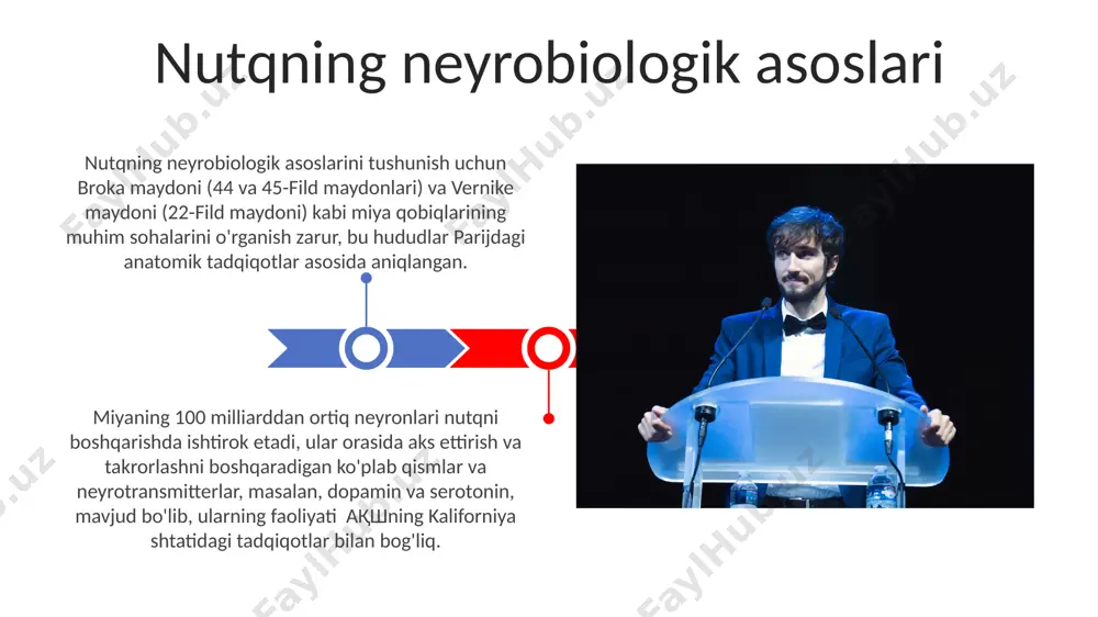 o'rganilgan. broka maydoni (44 va 45-brodmann maydonlari) va vernike maydoni (22-brodmann maydoni) o'rtasidagi tolalar bog'lanishi nutqni tushunish va ishlab chiqarishda muhim rol o'ynaydi, bu o'zaro ta'sir parietal loblar bilan ham bog'liq. premotor korteksi (6-brodmann maydoni) nutqning motorik rejalashtirishida qatnashadi va supramotor sohalar bilan birgalikda og'iz va yuz mushaklarining aniq harakatlarini koordinatsiya qiladi, bu jarayonlar frontal lobda 7-brodmann maydonida ham sodir bo'ladi. tilni boshqarishdagi miya sohalari o'rtasidagi o'zaro ta'sir tilni reabilitatsiya qilishda neyrobiologik yondashuvlar tilni reabilitatsiya qilishda transkranial magnit stimulyatsiyasi (tms) kabi noinviziv usullar qo'llaniladi, bu esa miyaning 20-30 gts chastotali gamma to'lqinlarini modulyatsiya qilish orqali, masalan, broka maydonini faollashtirib, nutqni tiklashga yordam beradi. neyroplastiklik printsiplariga asoslangan intensiv nutq terapiyasi, kuniga 3-5 soat mashg'ulotlar o'tkazish orqali, avstraliya tadqiqotlarida ko'rsatilganidek, afaziy bemorlarda 6 oy ichida sezilarli yaxshilanishga olib kelishi mumkin. tilning auditori tahlili tilni auditori tahlili, 20 dan ortiq tilni qo‘llab-quvvatlovchi google translate kabi dasturlar yordamida, 500 million dan ortiq so‘z birikmalarini …