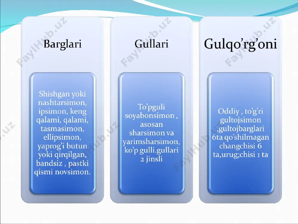 piyozdoshlar oilasi - Page 5