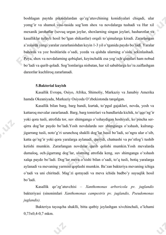 qolishi mumkin.yosh mevalarda dumaloq, och-jigarrang dog’lar, ularning atrofida keng, suv shimganga o’xshash xalqa paydo bo’ladi. dog’lar meva o’sishi bilan o’sadi, to’q tusli, botiq yaralarga aylanadi va mevaning yarmini qoplashi mumkin. ba’zan bakteriya mevaning ichiga o’tadi va uni chiritadi. mag’zi qorayadi va meva ichida badbo’y suyuqlik hosil bo’ladi. kasallik qo’zg’atuvchisi – xanthomonas arboricola pv. juglandis bakteriyasi (sinonimlari xanthomonas campestris pv. juglandis, pseudomonas juglandis). bakteriya tayoqcha shaklli, bitta qutbiy joylashgan xivchinchali, o’lchami 0,73x0,4-0,7 mkm. bakteriya kurtaklar, qurigan to’pgullar va zararlangan novda-larda qishlaydi. kasallik sernam ob-havo sharoitida, ayniksa gullash davrida yomg’ir ko’p yoqqanda kuchli rivojlanadi. zararlangan to’qimalarda bakteriyalardan tashkil topgan suyuqlik paydo bo’ladi. qo’zg’atuvchi yomg’ir tomchilari va shamol hamda hasharotlar vositasida tarqaladi. kasallikning birinchi belgilari barglarda va tugunchalarda ko’rinadi, yosh tugunlar zararlanishi urug’chining og’izchasidan boshlanadi. kasallikka nihol va yosh daraxtlar chidamsiz, ularning zararlangan poyasi sinib ketishi mumkin. zararlangan yosh mevalar chirishi va to’kilib ketishi tufayli hosil miqdori va sifati pasayadi. kasallik gullash-meva tugish …