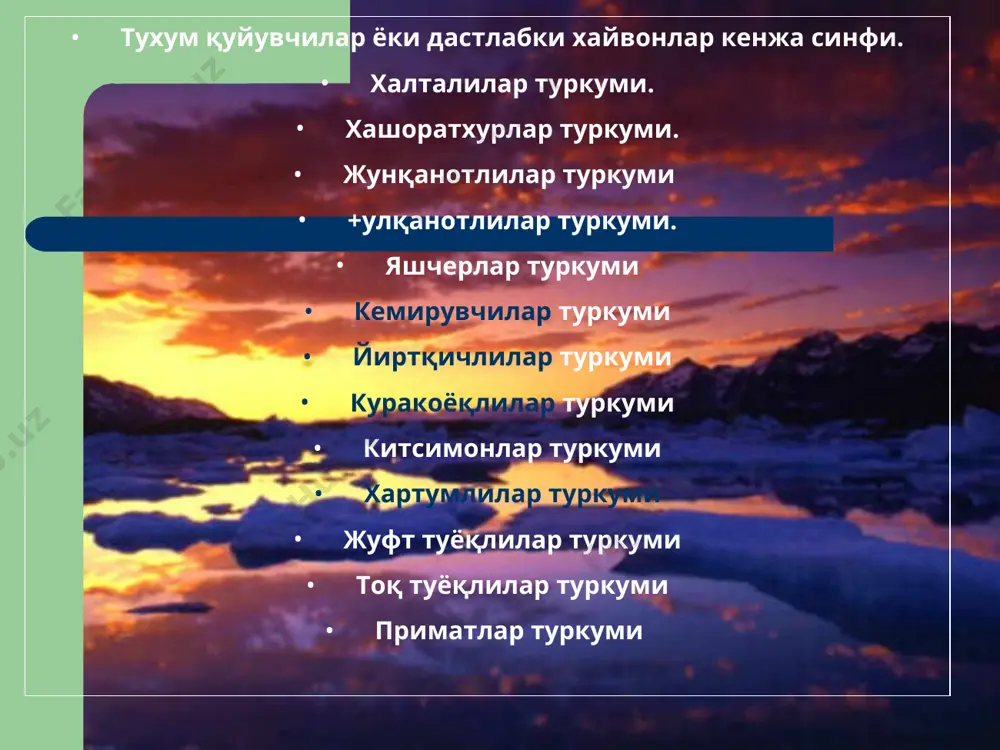 йга буриси оқ айиқ хитой пандаси шимолий тайга қора айиғи қўнғир айиқ мушуксимонлар синфи африка шери химолой қоплони тайга йулбарси шимол йўлбарси йўлбарснинг бир хафталик болалари хиндистон қоплони қора қоплон (пантера) тоғ илвирси 9. куракоёқлилар туркуми (pinnepedia) куракоқлилар систематик нуқтаи назардан йиртқичлиларга яқин бўлиб. шубхасиз уларнинг сув шароитида мослашган бир тармоғидир. хаётларининг кўп вақтини сувда ўтказади. сувда озиқланади. грелландия тулени, денгиз мушуги, моржлар. 10. китсимонлар туркуми (cetacia). сут эмизувчиларнинг бутун хаётини сувда утказувчи узига хос тузилган гурухи. ер юзида энг катта сут эмизувчилар бири булиб китлардир. кук кит узунлиги 35 м 150 тоннагача булиб 11 ой хомиладорликдан кейин битта бола ту\ади. делфинлар. жахон океани иссиқ мутадил сувларида яшовчи кичик 1-10 м купинча гала булиб яшайдиган хайвонлар. нерв системаи юқори даражада ривожланган хайвон хисобланади. 11. хартумлилар туркуми (proboscidea) учламчи даврда анча кенг тарқалган турли туман хайвонлар булиб, хозирги вақтда улардан фақат икки тури қолган. қуруқликда энг катта хайвонлардан бири хисобланади. улар …
