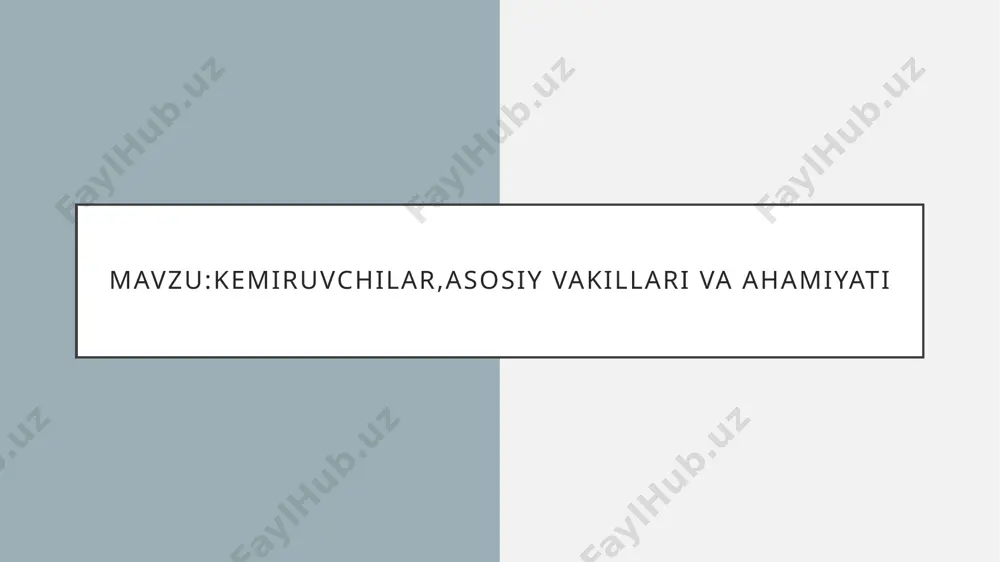 kemiruvchilarning eng yaqin "qarindoshlari" lagomorflar turkumining vakillari hisoblanadi.kemiruvchilar butun yer bo'ylab tarqalgan, antarktidadan tashqari, barcha yashash joylarida yashaydilar. bu hayvonlar guruhi mo'tadil va subtropik zonalarning ochiq joylarida eng xilma-xil va ko’pdir. kemiruvchilarning aksariyati quruqlikdagi hayvonlardir. ular orasida mukammal suzishga va sho'ng'ishga qodir bo'lgan yarim suvli turlar mavjud. ba'zi kemiruvchilar (uchib yuruvchi sinkaplar) daraxtlarda yashaydi va shoxdan shoxga uchib harakatlanadi. boshpana sifatida chuqurliklar, tosh yoriqlari, chuqurchalar ishlatiladi. ushbu hayvonlarning aksariyat turlari yil davomida faoldir. sovuq iqlimda yashovchi ba'zi turlar harorat pasayganda turli muddatlarda qish uyqusiga ketadi. cho'chqalar oilasiga maras, mokos va kapibara ham kiradi. ularning barchasi janubiy amerikada yashaydi, lekin o'z hamkasblariga deyarli o'xshamaydi. moko yoki tosh cho'chqaning uzunroq oyoqlari bor. u juda faol va bir necha metrga sakraydi.maru, shuningdek, patagoniya quyoni deb ataladi. u 80 sm gacha o'sadi va haqiqatan ham qiya ko'rinadi. hayvon yaxshi yuguradi, kuchli va uzun orqa oyoqlari bor. tumshug‘i to‘mtoq, quloqlari bir oz uchi yuqoriga yopishgan.￼kapibaralar …