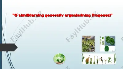 o`simliklarning generativ organlarining filogenezi — PPT