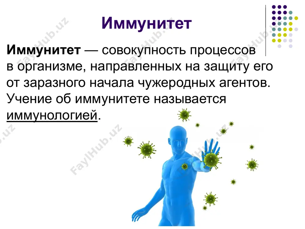 ей; прием витаминов. image1.png image2.png image3.png image4.png image5.png image6.png image7.png image8.png image9.png image10.png image11.png image12.png image13.png image14.png image15.png image16.png image17.png image18.png image19.png image20.png image21.png image22.png image23.png image24.png image25.png image26.png image27.png image28.png image29.png image30.png /docprops/thumbnail.jpeg