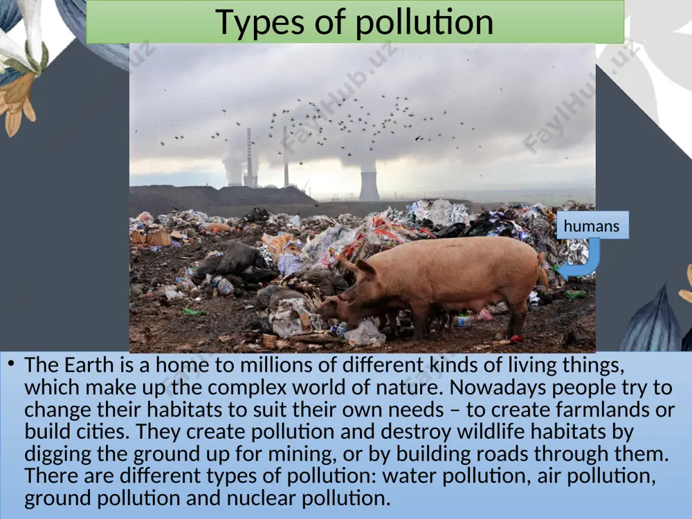 ecological problems - Page 4