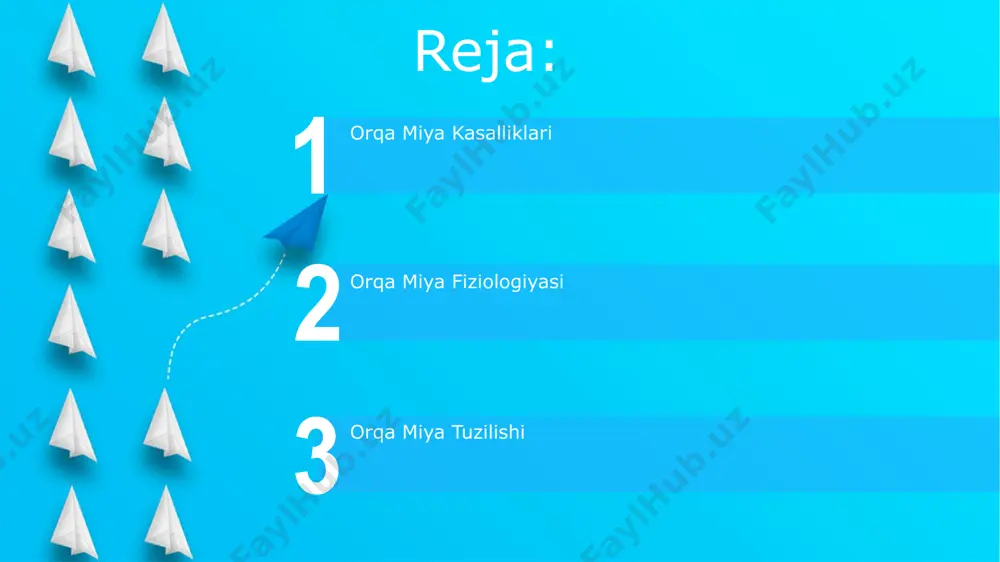 riga jalb etiladi. orqa miyaning rivojlanishi orqa miya 3-4 haftaga kelib neyral naychadan hosil boʻlib, 28-30 somitlarga boʻlinadi va ularning har biri vertebra hosil qilishda ishtirok etadi. orqa miyaning rivojlanishida 7-8 haftadan keyin segmentatsiya jarayoni yakunlanadi va 31 juft orqa miya nervlari hosil boʻladi. orqa miya ozuqalanishi start orqa miya ozuqalanishini ta'minlovchi 3 ta asosiy arteriya – o'murtqa arteriyalari va orqa miya oldingi arteriyasi – miyaning 80% qismini qon bilan ta'minlaydi. orqa miyaning ozuqalanishining buzilishi, masalan, ateroskleroz yoki tromboz natijasida 5-10% ga qon oqimining pasayishi, og'ir nevrologik oqibatlarga olib kelishi mumkin. orqa miya moddasi: kulrang modda orqa miya kulrang moddasi neyronlarning tanalari va dendritlaridan tashkil topgan bo'lib, uning markaziy kanal atrofida joylashgan h shakliga ega bo'lib, oldingi, orqa va lateral ustunlarga bo'linadi. orqa miyaning kulrang moddasida taxminan 13 million neyron mavjud bo'lib, ularning har biri minglab sinaptik aloqalar orqali boshqa neyronlar bilan bog'langan va bu murakkab ma'lumotlarni qayta ishlashni ta'minlaydi. …