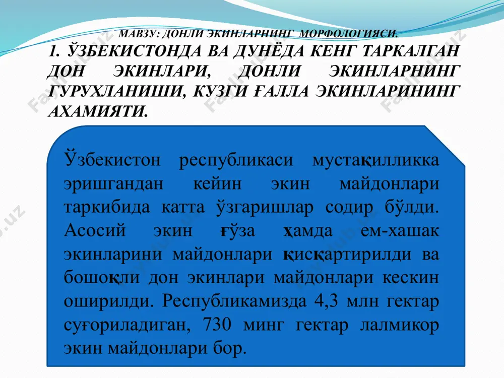 лан ажратилган бўғин оралиқларидан иборат. узун бўйли маккажўхори ўсимлигида бўғин оралиқлари сони 25 ва ундан ортиқ бўлиши мумкин. уларни сони барглар сонига тенг бўлади. кўпгина дон экинларида поясининг ичи ковак, маккажўхори ва оқ жўхорида у паренхима билан тўлган. барги. ғалла экинларининг барги оддий, барг қини ва япроғидан иборат. барг қинини япроққа ўтиш жойида тилча (ligula) жойлашган. у юпқа, рангсиз парда кўринишида бўлади. барг қинининг асосида иккита қулоқчалари (ouricula) бoр. сута тўпгули. буғдой, арпа, жавдарнинг тўпгули бошоқ, сули, оқ жўхори, тариқ, шолида рўвакдан иборат. маккажўхорида урғочи тўпгул сўта, эркак тўпгуллар рўвак. рувак бошоқ пўстли дон меваси дон экинларининг меваси донча. пўстли дон экинлари (сули, тариқ, арпа, шоли) нинг дони гул қобиғи билан ўралган, улар донни зич ўраб туради ёки қўшилиб ўсган (арпада). ялонғоч донли буғдой ва жавдарда гул қобиғи дондан осон ажралади. ялонғоч донли 3. доннинг кимёвий таркиби. экин тури, нави, агротехника, ўсиш шароитига боғлиқ ҳолда доннинг кимёвий таркиби ўзгаради. оқсил …
