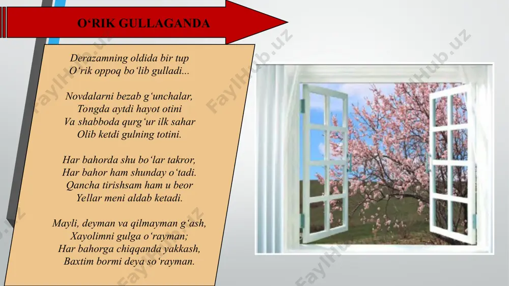 antirish san’atidan foydalanadi. natijada o‘rik gullari bilan lirik qahramon o‘rtasida uyg‘unlik bayon qilinadi: yuzlarimni silab, siypalab, baxting bor deb esadi yellar. etgan kabi go‘yo bir talab baxting bor deb qushlar chiyillar. yellar, shabboda, qushlarning chug‘urlashi – barcha-barchasi shoir nazaridan chetda qolmaydi. quyidagi murojaati ifodalangan band she’rning kulminatsiyasi va yechimidek taass urot uyg‘otib, unda ziddiyatli hayot va ikki xil vaziyat kuzatiladi: «mana senga olam-olam gul, etagingga siqqanicha ol. bunda tole har narsadan mo‘l, to o‘lguncha shu o‘lkada qol. umrida hech gul ko‘rmay yig‘lab o‘tganlarning haqqi ham senda. har bahorni yig‘lab qarshilab ketganlarning haqqi ham senda...» mazkur she’rda shoirning tuyg‘ulari shu darajada teran tasvirlanganki, har qanday vaziyatda o‘rik gullashiga doir hodisa tilga olinganida beixtiyor ushbu she’rning mazmun-mohiyati esga keladi. umuman olganda, hamid olimjonning «o‘rik gullaganda» she’rini asr oshib shu kungacha yashab kelgan va bundan keyin ham ko‘plab o‘quvchilar qalbiga bahoriy xush kayfiyat bag‘ishlab yashaydigan asarlar qatoriga kiritish o‘rinli bo‘ladi. chimyon esdaliklari tog‘da …