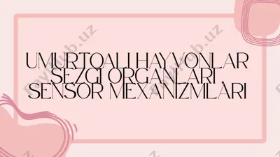 umurtqali hayvonlar sezgi organlari, sensor mexanizmlari — PPTX
