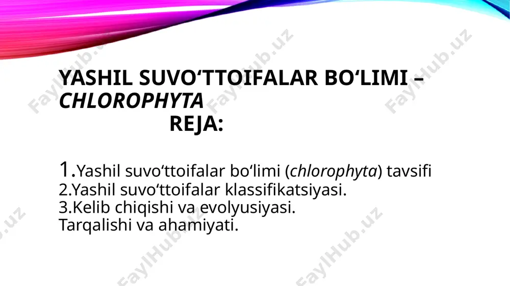 bila: volvoksnamolar - volvocales turkum: xlamidomonada - chlamydomonas turkum: volvoks – volvox qabila: xlorokokknamolar – chlorococcales turkum: gidrodiksion - hydrodictyon turkum: pediastrum - pediastrum turkum: xlorella - chlorella turkum: ssenedesmus - scenedesmus. qabila: uloktriksnamolar - ulotrichales turkum: uloktriks – ulotrix turkum: ulva - ulva ko‘pchilik volvoksnamolar tartibining vakillarida hujayra to‘zilishi xlamidomonada va gematokokklarnikiga o‘xshash bo‘lib, harakat­chan senobiy hosil qiladi. ular har xil shaklda bo‘ladi. senobiy shakldagi volvoksnamalarga gonium (gonium), pandarina (pandarina), evdarina (eudarina), volvoks (volvox) turkum vakillari kiradi gonium bir qator plastikasimon hujayralarni joylashishidan ho­sil bo‘ladi. bizda eng ko‘p tarqalgan turlardan gonium pestorale hi­soblanadi, uni senobiysi 16 hujayradan iborat. goniumning hujayralari o‘zaro paralell hujayra po‘stidan chiqqan shilimshiq modda bilan qo‘shi­lib, xivchinli tomoni plastinkaning sirtiga qarab joylashgan. pandarina va evdarinani senobiysi mikroskopik kichiklikda bo‘lib, har bir hujayrasi ayrim holda xlamidomonadani eslatadi. volvoksning koloniyasi sharsimon yoki ellipsimon bo‘lib, diametri 2-3 mm. bitta koloniyadagi hujayralar soni 500-600 mingga etadi. volvoksni har bir hujayrasi …