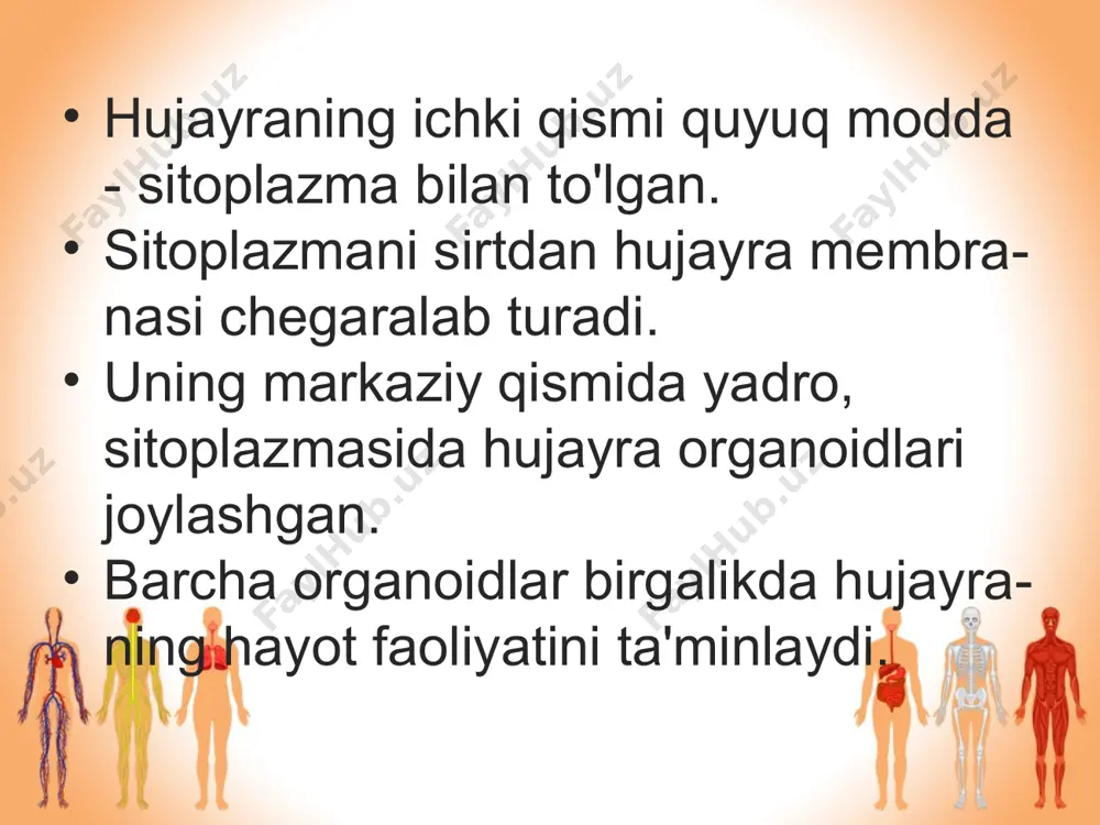 odam organizmining hujayraviy tuzilishi - Page 3