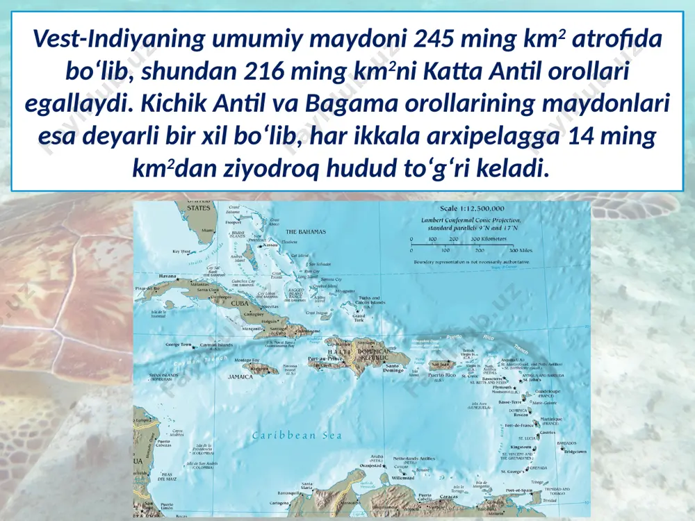karib havzasi orol mamlakatlari. 10 - sinf - Page 4