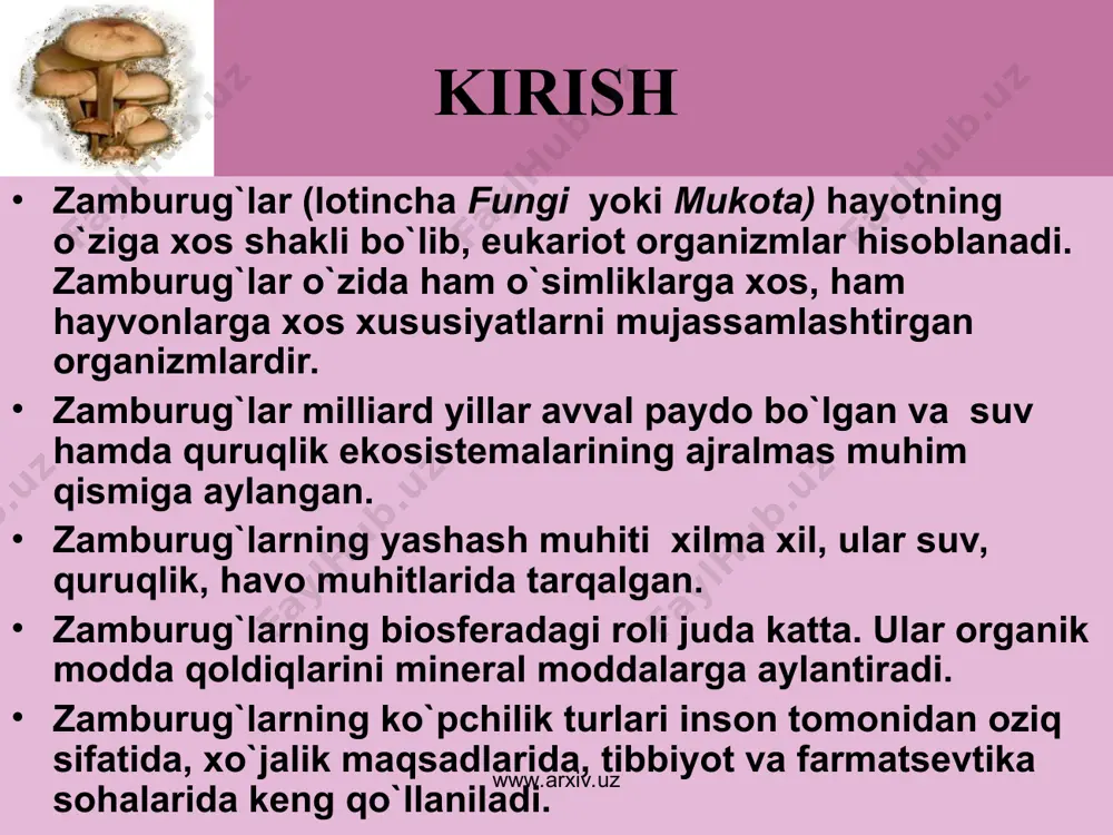sil bo`ladi. so`ngra bu to`siq eriydi va ularning yadrolari bir- biriga qo`shilib zigota hosil bo`ladi. bu zigota zigospora ham deyiladi. chunki u tinim davridan o`tishga moslashgan bo`lib, qalin po`st bilan o`ralgan. qulay sharoitga tushgan zigasporadan mevatana, sporangiyband, sporangiylar o`sib chiqadi. sporangiyda sporalar yetiladi. bu sporalardan mog`or zamburug`i hosil bo`ladi va jinsiz ko`payishda davom etadi. jinsiz ko`payishda hosil bo`lgan sporalar bir xil shtammli, jinsiy ko`payishda esa har xil shtammli sporalar hosil bo`ladi. www.arxiv.uz www.arxiv.uz achitqi zamburug`i achitqi zamburug’i bir hujayrali mikroskopik organizm. uning hujayrasi qobiq bilan o’ralgan sitoplazma, yadro va vakuoldan tashkil topgan. haqiqiy mitseliysi bo`lmaydi. xamir tarkibidagi kraxmal bilan oziqlanadi. kraxmal glyukoza spirt + co₂ + q (2atf) qulay sharoitda kurtaklanib ko`payadi. bunda zamburug’ hujayrasi ustida bo’rtma hosil bo’ladi va u o’sib kattalashadi, so’ngra ona hujayradan ajralib chiqib mustaqil yashaydi. achitqi zamburug’ning ba’zi turlarida ko’payish jinsiy yo’l bilan boradi. bunda zamburug’ning ikkita hujayrasi bir-biri bilan qo’shilib zigota hosil qiladi, so’ng …