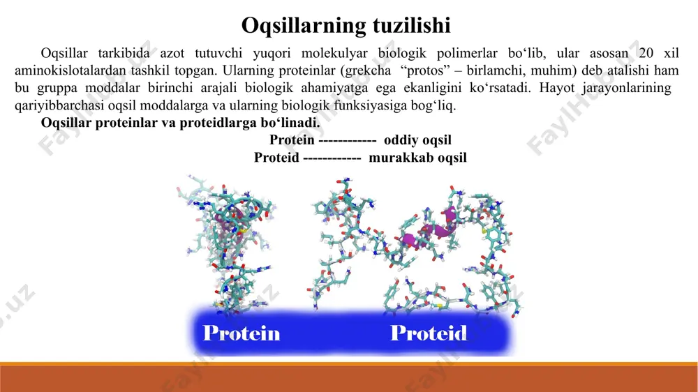 suyak to`qimasi, paylarning struktura elementlari; fibroin – ‘illaning i’ak qavatini hosil bo`lishida ishtirok etadi; beta-keratin – jun, tirnkoqlarningsrtuktura asosi. 7. zao’ira yoki trofik vazifasi – rivojlanayotgan hujayraning oziqlanishi uchun oqsillarning zao’ira modda sifatida foydalanilishi. oqsillar chegaralangan miqdorda qonda, ba’zi to`qimalarda, ko’p miqdorda o`sayotgan o’omilada, o`simliklar donida, tuxum va sutda bo`lib, zarur sharoitda sarflanadilar. bunga bug`doy doninig zao’ira moddasi – prolaminlar va glutelinlarni misol keltirish mumkin. shuningdek, ovalbumin – tovuq tuxumining zao’ira oqsili bo`lib, murtakning rivojlanishida sarf bo`ladi. 8. substrat-energetik vazifasi – parchalanish jarayonlarida oqsil substrat sifatida ishtirok etib, energiya hosil qiladi. 1g oqsil parchalanganda 17,1 kj energiya ajraladi. bunga karbonat angidrid, suv, va siydikchilgacha parchalanadigan oqsillarning hammasi kiadi. 9. qisqarish vazifasi – kimyoviy energiyadan foydalanib qisqarish. muskullarning qisqarishi oqsillar ishtirokida kechadi. ularning eng muhimlari aktin va miozin qisqaruvchi muskul tolalarini tashkil qiladilar. 10. elektroosmotik vazifasi – membranada elektr zaryadlarining farqi va ionlar kontsentratsiyasining gradientini hosil qilishda ishtirok etadi. na+, k+ …