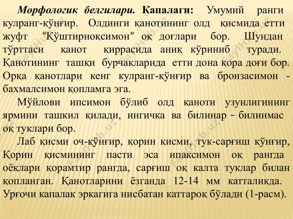 тутқич белбоғлар боғлаш; 3. дарахтлар қатор орасини, танаси атрофларини ағдариш. 4. мевалар қадоқланган бостирмалар атрофи, иморатлар ва унинг ҳудудларини тозалаш, чиқиндиларни ёқиб юбориш. кимёвий кураш усуллари. 1. шарқ мевахўри зарарлаган дарахтлар тавсия этилган кимёвий воситалар билан қайта ишланади. 2. кўчатлар ёки ўсаётган эртаги дарахтлар 3-4 марта кимёвий ишланади. 3. шафтолининг кечки навлари, қўшимча равишда яна 18-20 кун оралиғида икки марта ишланади. 4. уруғли экинлар кўчатлари: беҳи, олма, нок, кимёвий воситалар билан икки марта дориланади. 5. олхўридаги шарқ мевахўрига қарши кимёвий кураш олхўри қуртига қарши кураш билан бир вақтда амалга оширилади. мевали боғларни шарқ мевахўрига қарши кимёвий воситалар билан ишлашдан 2-3 кун олдин аҳоли огоҳлантирилади ва улар асалари уяларини томорқадаги сабзавот, полиз ва бошқа экинларини захарли кимёвий воситалардан ҳимоя қилиш чораларини кўришлари лозим. кимёвий воситалар билан ишлов бериш, ҳосил йигиштириб олинишига камида 30 кун қолганда тўхтатилиши лозим. карантин тадбирлар. шарқ мевахўри аниқланган ҳудудларда ўсимликлар карантини давлат хизмати томонидан карантин эълон қилинади …