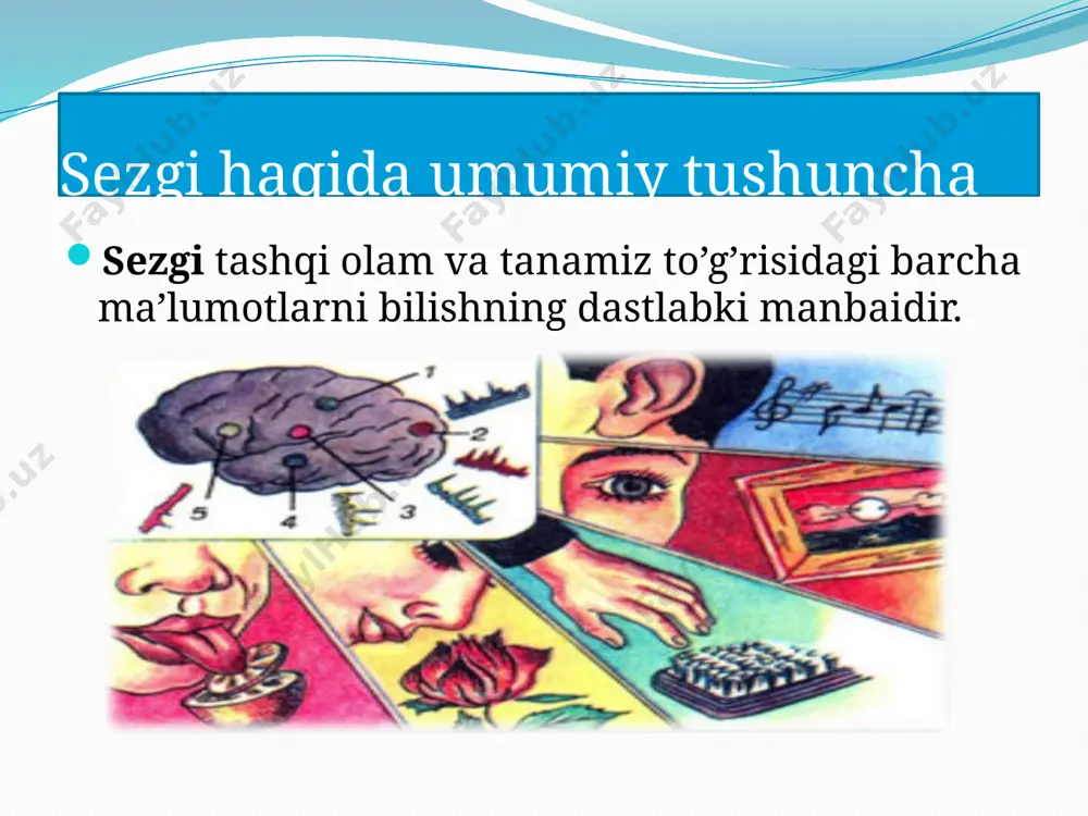 uchun rahmat! audio1.wav image2.png image3.jpeg image4.jpeg image5.gif image6.gif image7.jpeg image8.png image9.png image10.png image11.png image12.jpeg image13.png image14.jpeg image15.jpeg image16.jpeg image17.png image18.jpeg image19.jpeg image20.jpeg image21.jpeg image22.jpeg image23.jpeg image24.jpeg image25.jpeg image26.jpeg image27.jpeg image28.jpeg image29.jpeg image30.jpeg image31.jpeg image32.jpeg image33.jpeg image34.jpeg image35.jpeg image36.jpeg image37.jpeg image38.jpeg image39.jpeg image40.png image41.jpeg image42.jpeg image43.jpeg image44.jpeg image45.jpeg image46.jpeg image47.jpeg image48.jpeg image49.png /docprops/thumbnail.jpeg