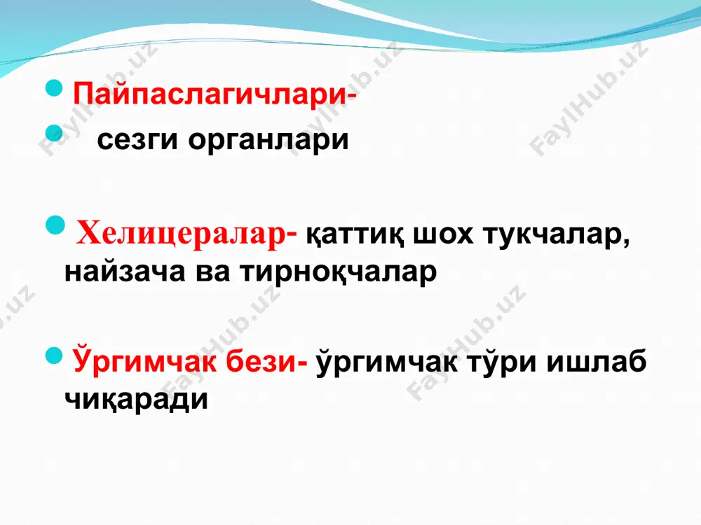 ўргимчаксимонлар (arachnoidea) cинфи - Page 4