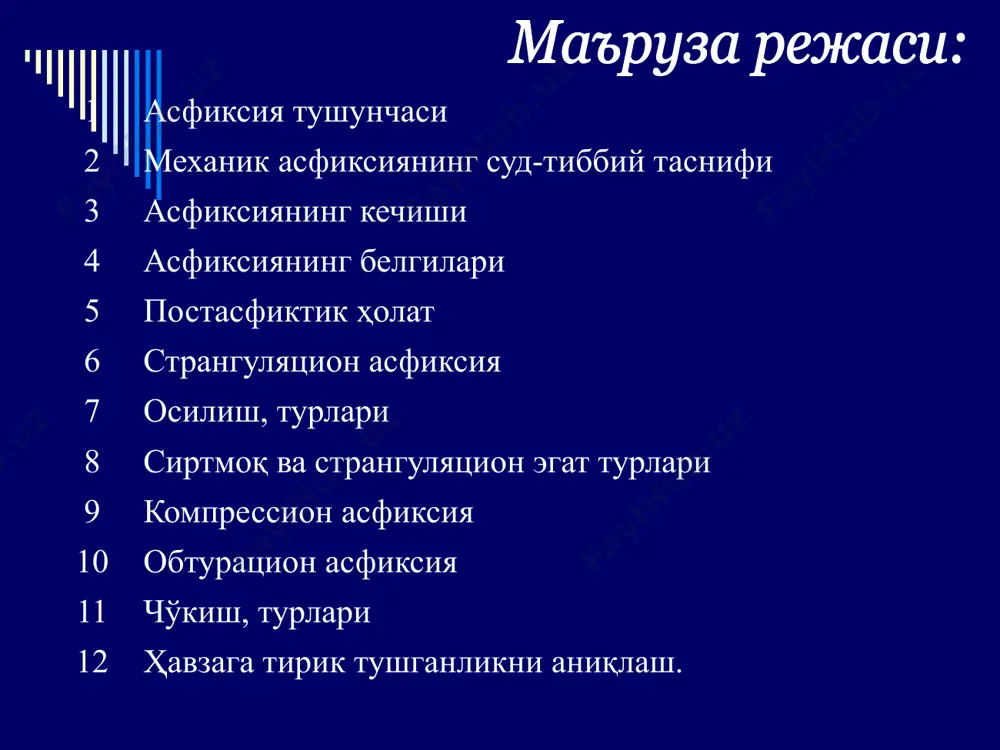 e13.png image14.png image15.png image16.png image17.png image18.png image19.png image20.png image21.png image22.png image23.jpeg image24.jpeg image25.jpeg image26.jpeg image27.jpeg image28.jpeg