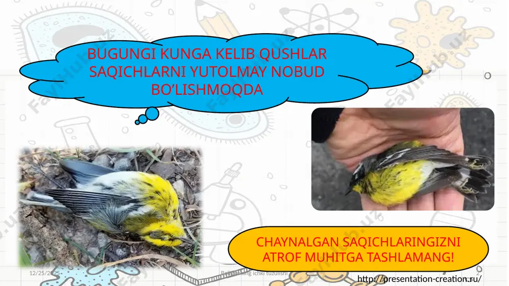 sh novdalari va barglari bilan oziqlanadi ovqat hazm qilish sistemasi http://presentation-creation.ru/ 2/9/2021 baliqlarning ichki tuzulishi 10 http://presentation-creation.ru/ 2/9/2021 baliqlarning ichki tuzulishi 11 nafas olish sistemasi jabralardan iborat. baliqlar suvda erigan kislorod bilan nafas oladi. ular og‘zi orqali yutilgan suvni jabra teshiklari orqali chiqaradi. jabralar jabra ravoqlari (yoylari)dan iborat. har bir ravoqning keyingi tomonida och qizg‘ish tusli varaqlari, oldingi tomonida jabra qilchalari joylashgan. jabra qilchalari suv bilan oqib keladigan oziqning tashqariga chiqib ketishiga yo‘l qo‘ymaydi. jabra varaqlari juda mayda kapillyar qon tomirlari bilan qoplangan. jabralardan o‘tayotgan suvdan kislorod jabra varaqlari kapillyarlaridagi qonga shimiladi; karbonat angidrid esa qondan suvga ajralib chiqadi. qahraton qishda muz tagiga kislorod o‘tmasligi yoki issiq yozda iliq suvda kislorod kam erishi tufayli baliqlar halok bo‘ladi. http://presentation-creation.ru/ qon aylanish sistemasi yurak, qorin va orqa aortalari, arteriya, vena va kapillyardan iborat. yuragi yurak qorinchasi va bo‘lmasidan iborat. yurakdan chiqadigan qon tomirlari arteriyalar, yurakka keladigan qon tomirlari venalar deyiladi. zog‘ora baliqning …