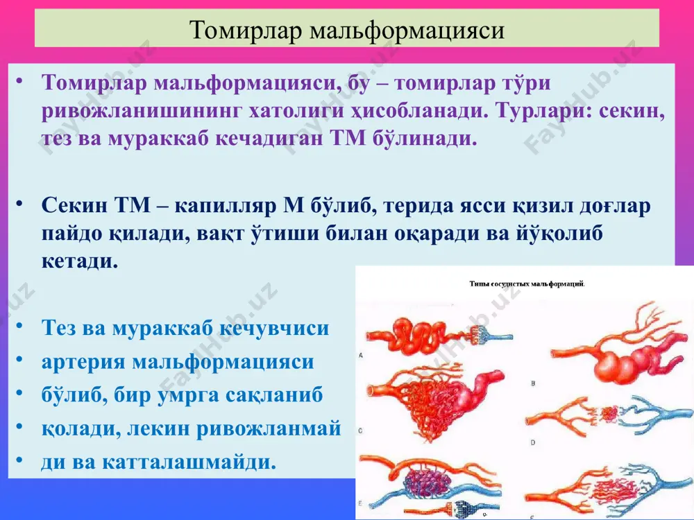 анг тарғиллик йўқолиши, тўқ қизил бўялиши кузатилади. юик – миокард инфарктининг морфологик даврлари 2. некрозланиш даври кўз билан қаралганда оқ-сариқ рангли баъзида қизил хошияли некроз ўчоғи аниқланади. микроскоп остида кўрилганда мушак толалари қалинлашган, кўндаланг тарғиллиги йўқолган, ядролари лизисланиб йўқолган. некроз атрофида яллиғланишли демаркация халқаси аниқланади. агар субэндокардиал жойлашган бўлса, эндокардда тромбоз, субэпикардиал бўлса фибринозли перикардит аниқланади. юик – миокард инфарктининг морфологик даврлари 3. чандиқланиш даври кўз билан қаралганда оқ рангли, қаттиқ, мушак қатламига кириб тарқалган ўчоқ топилади. микроскоп остида кўрилганда мушак толалари ўрнида бириктирувчи тўқима ўсганлиги аниқланади. некроз атрофида мушак толаларининг гипертрофияланганлиги кузатилади. йирик ўчоқли постинқаркт кардиосклероз аниқланади. юик – миокард инфарктининг морфологик даврлари 3. асоратлари ва ўлим сабаблари кардиоген шок қоринчалар фибрилляцияси ўткир юрак етишмаслиги қоринча ўткир аневризмаси миомаляция ва ёрилиш қоринчада тромбоз перикардит қоринча аневризмаси тромбоэмболиялар юик – миокард инфарктининг морфологик даврлари 3. асоратлари ва ўлим сабаблари кардиоген шок қоринчалар фибрилляцияси ўткир юрак етишмаслиги қоринча ўткир аневризмаси миомаляция …