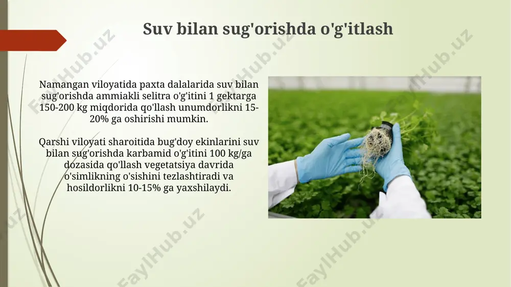 uchun farg'ona vodiysida o'g'itlashni ikki bosqichda, 60 kg/ga ko'chat paytida va 40 kg/ga g'unchalash davrida amalga oshirish o'rtacha hosildorlikni 15-20% ga oshiradi. azotli o'g'itlarning turlari ammoniy sulfat (21% azot) kislotali tuproqlarda, masalan, samarqand viloyatining ba'zi hududlarida, yaxshi natijalar beradi, chunki u tuproqning kislotaligini kamaytiradi. urea (karbamid) – 46% azotga ega bo'lgan eng keng tarqalgan azotli o'g'it, jahon bo'yicha 50 milliondan ortiq tonnasi ishlab chiqariladi va o'zbekistonning dehqonchiligida muhim ahamiyatga ega. xavfsizlik choralari o'g'itlarni saqlash uchun quruq, yaxshi shamollatiladigan omborxonalarni tanlang, 10°c dan yuqori bo'lmagan haroratda saqlang va bolalar qo'li yetmaydigan joyda saqlang, masalan, andijon shahridagi maxsus omborlarda. azotli o'g'itlar bilan ishlashda 5 kg dan ortiq miqdorda ishlatishda, albatta, nafas olish organlarini himoya qiluvchi respiratorlardan foydalaning, chunki changli muhit sog'liq uchun xavflidir, ayniqsa samarqand viloyatining changli hududlarida. tuproq tahlili va o'g'itlash rejalashtirish tuproq tahlili natijalariga ko'ra, samarqand viloyatining paxtaobod tumanidagi 10 gektar maydonda 150 kg/ga azotli o'g'it qo'llash tavsiya etiladi. o'g'itlash …