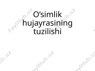 o’simlik hujayrasining tuzilishi — PPTX