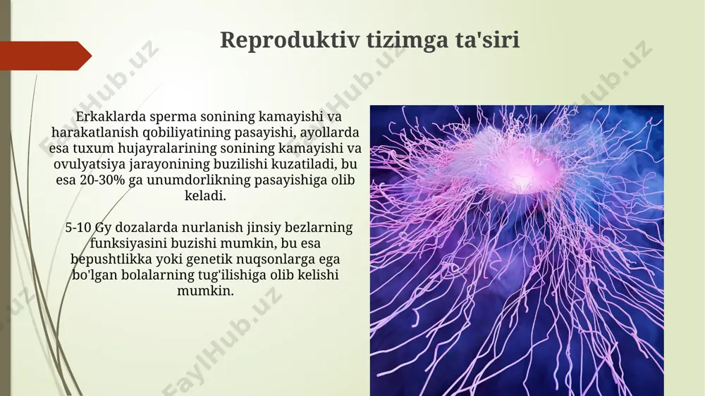 ionlashtiruvchi nurlar biologik to'qimalarga ta'siri - Page 4